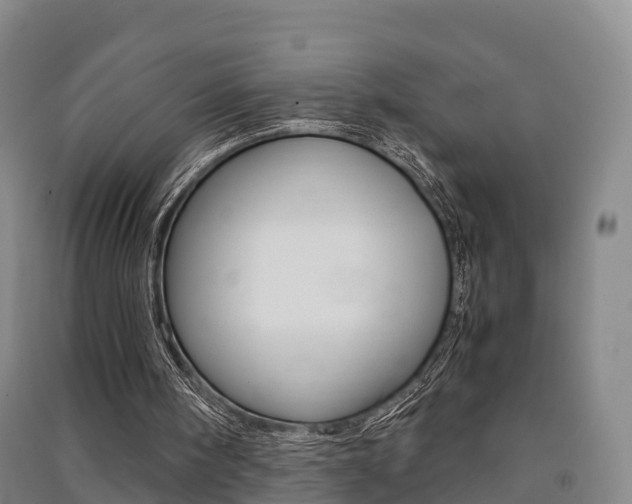 X0000091550098200708171049