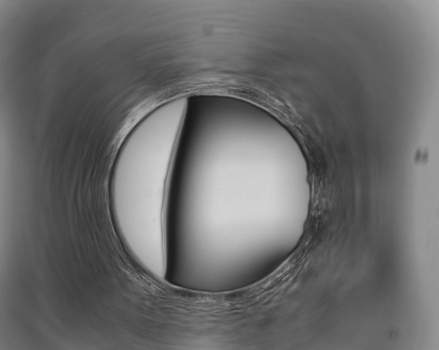 X0000091550099200708171049