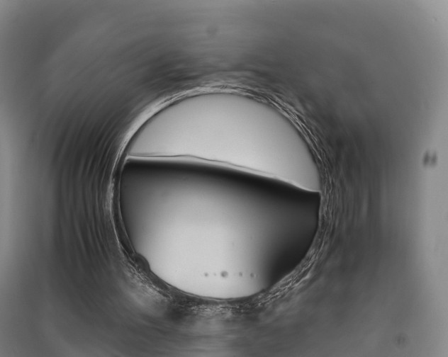 X0000091550100200708171049