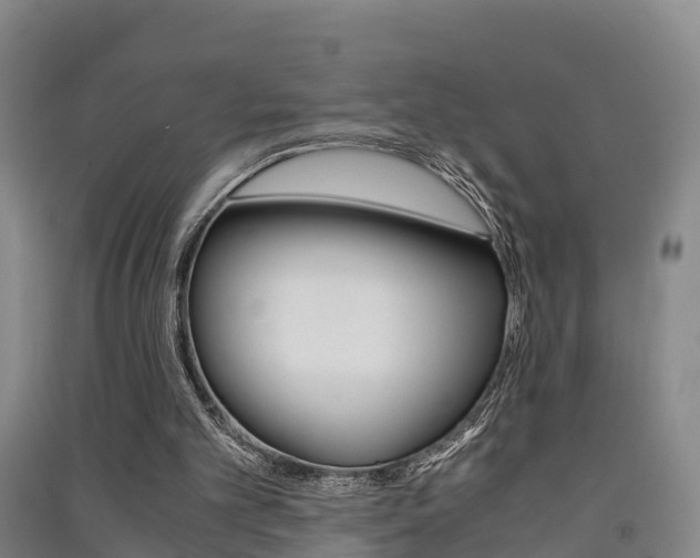 X0000091550101200708171049