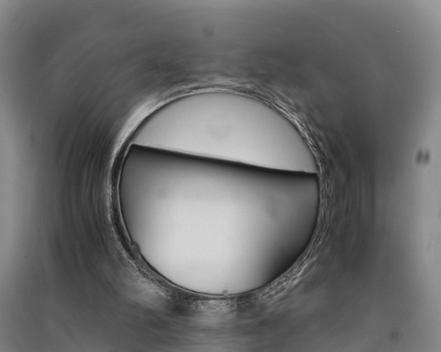 X0000091550102200708171049