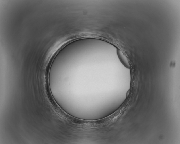 X0000091550103200708171048