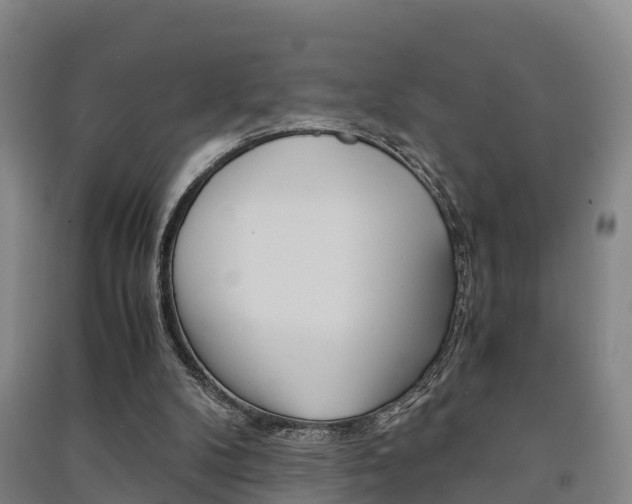 X0000091550104200708171048