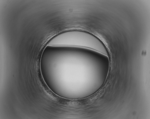 X0000091550105200708171048