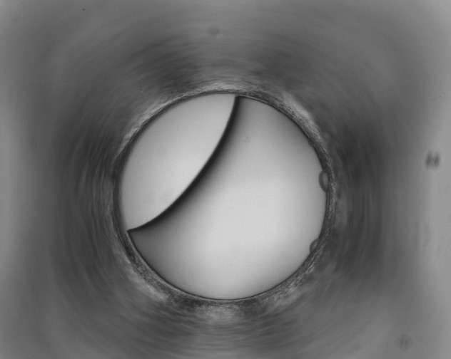 X0000091550106200708171048