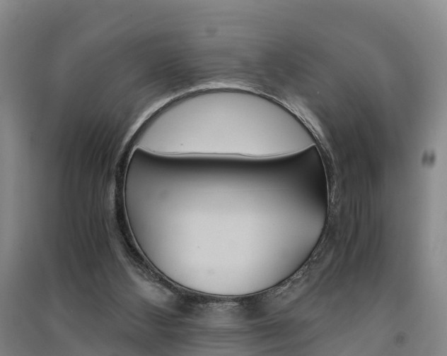 X0000091550108200708171048