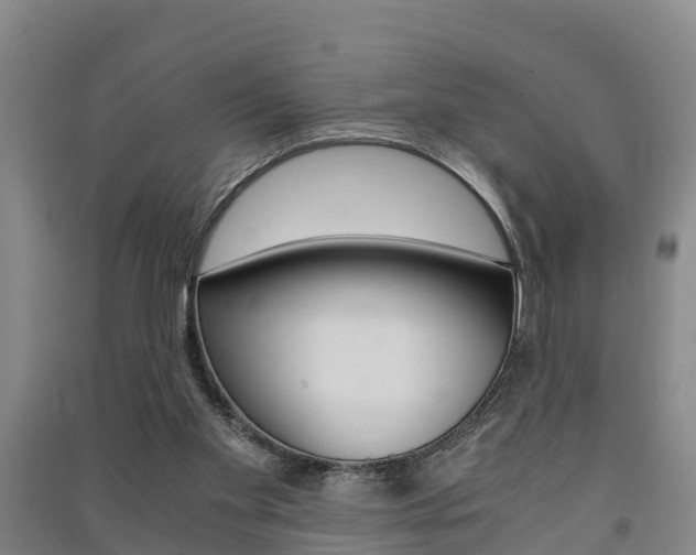 X0000091550109200708171048