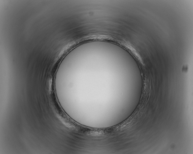 X0000091550110200708171048