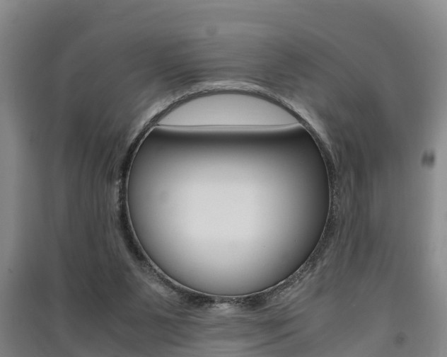 X0000091550111200708171048