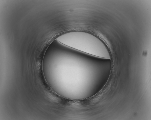 X0000091550113200708171048