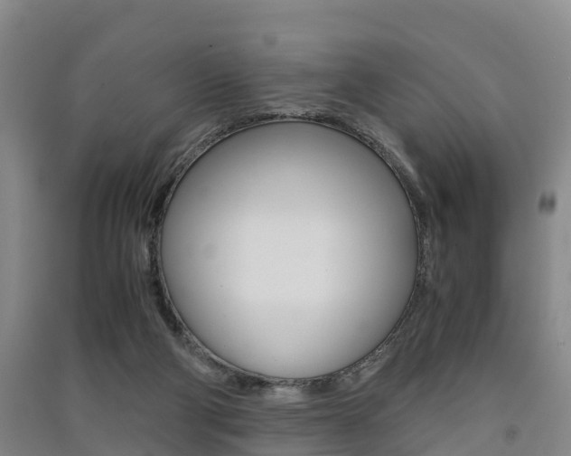 X0000091550114200708171048