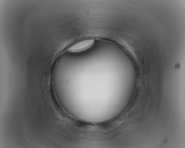 X0000091550115200708171048