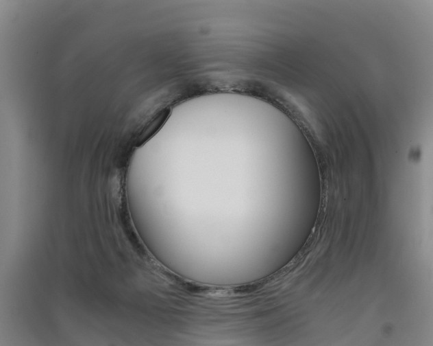 X0000091550121200708171048