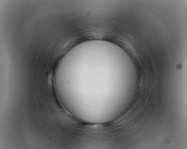X0000091550122200708171048