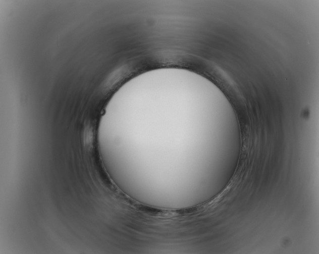 X0000091550124200708171048