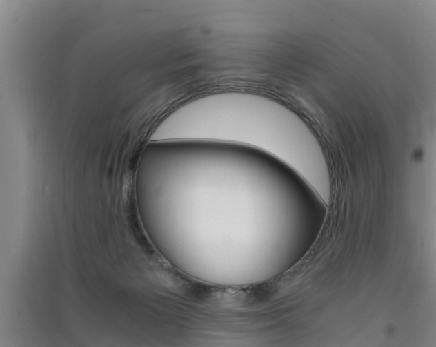 X0000091550125200708171048