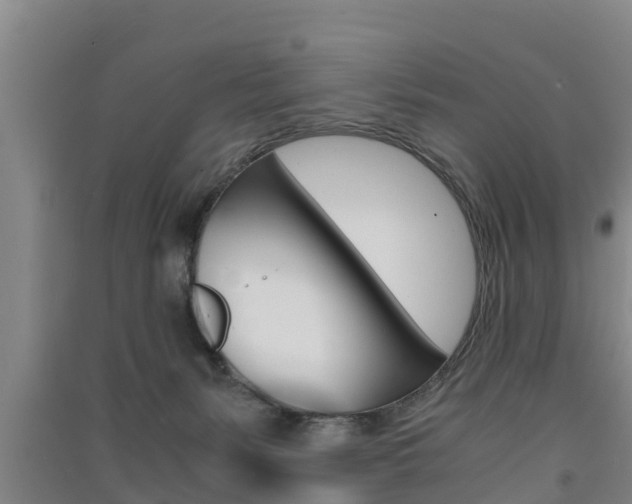 X0000091550127200708171048