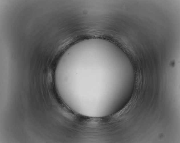 X0000091550128200708171048