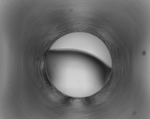 X0000091550129200708171048