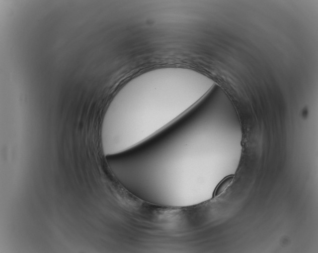 X0000091550132200708171048