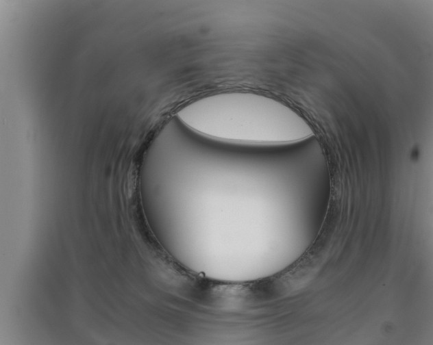 X0000091550133200708171048