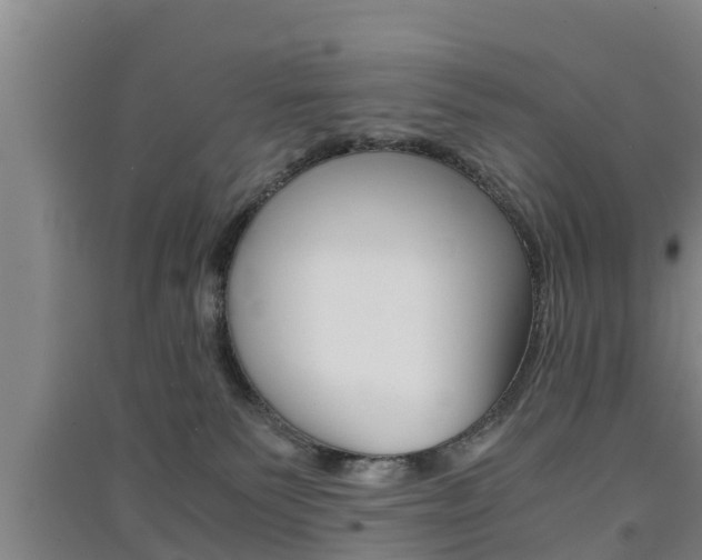X0000091550135200708171048