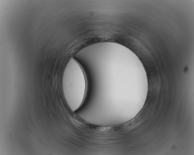 X0000091550136200708171048