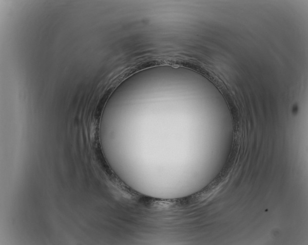 X0000091550139200708171048