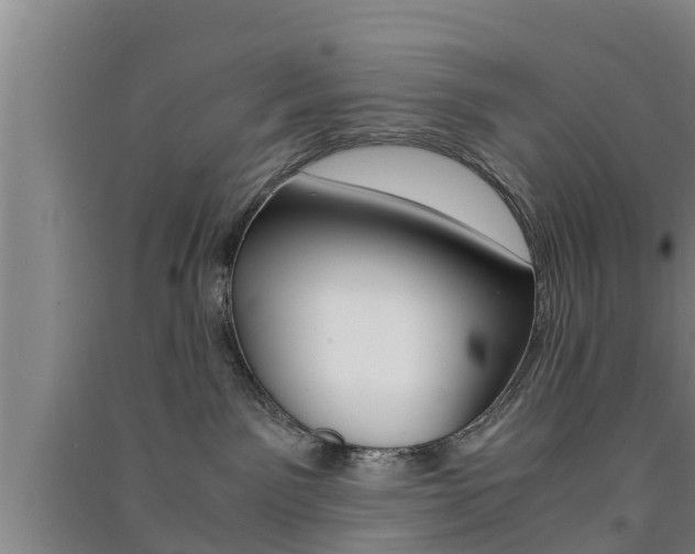 X0000091550141200708171048