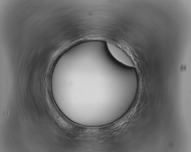 X0000091550145200708171047