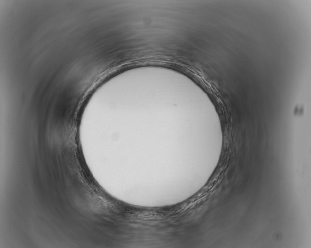 X0000091550146200708171047