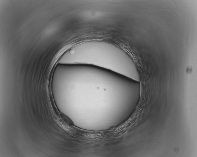 X0000091550147200708171047