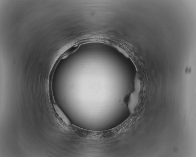 X0000091550148200708171047