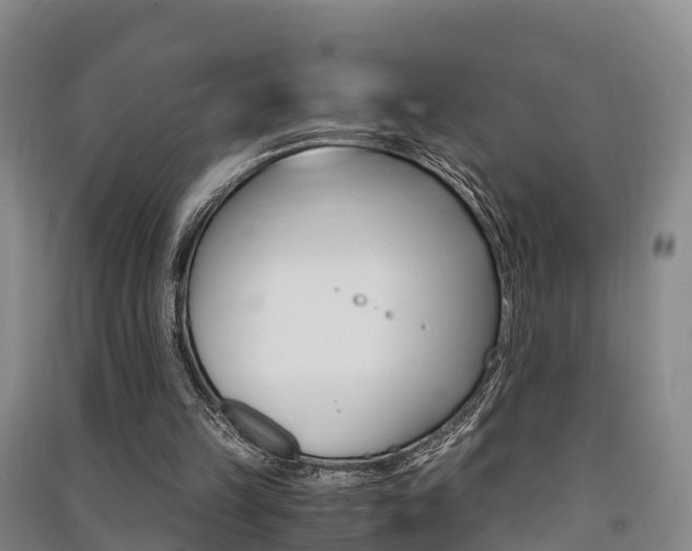 X0000091550149200708171047
