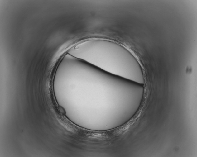 X0000091550151200708171047