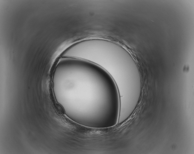 X0000091550152200708171047