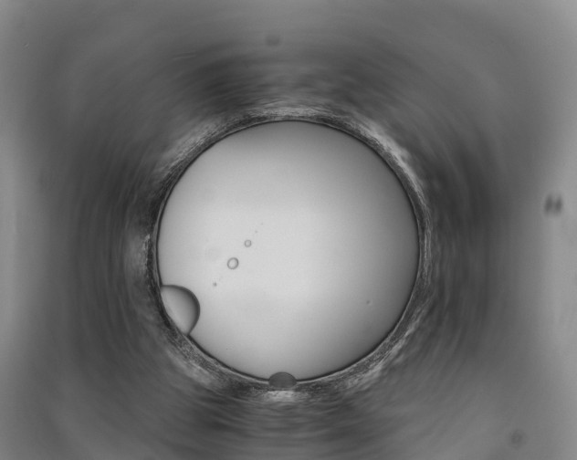 X0000091550153200708171047