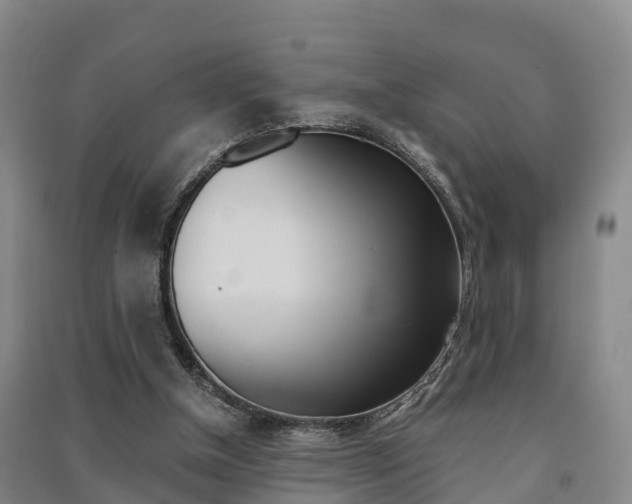 X0000091550154200708171047