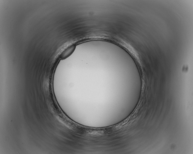 X0000091550155200708171048