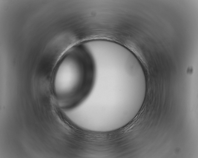 X0000091550156200708171048