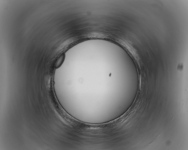 X0000091550157200708171048