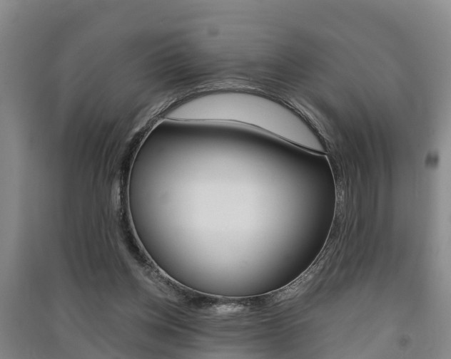 X0000091550158200708171048