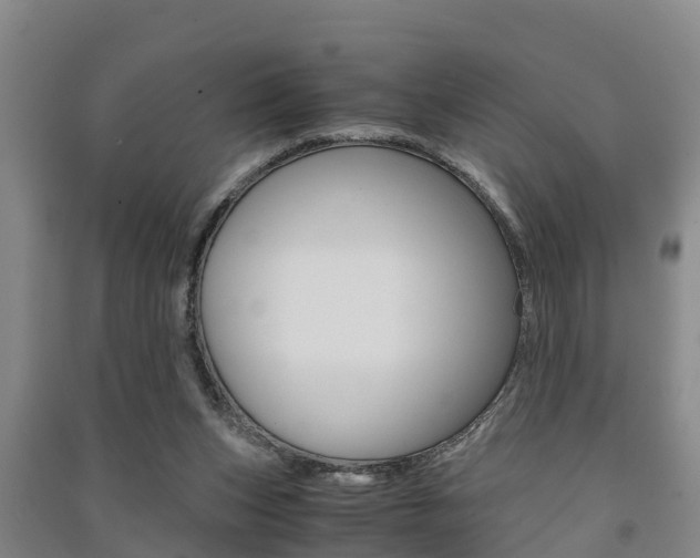 X0000091550159200708171048
