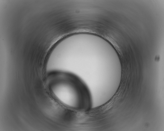 X0000091550160200708171048