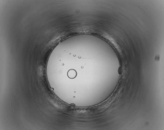 X0000091550161200708171048