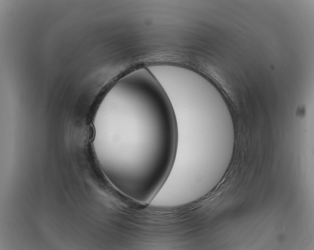 X0000091550164200708171048