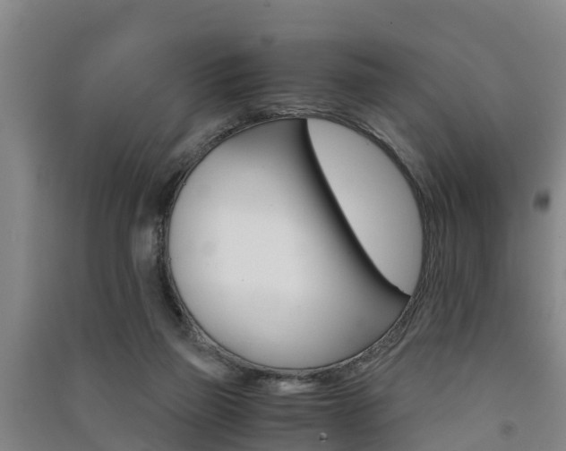 X0000091550165200708171048