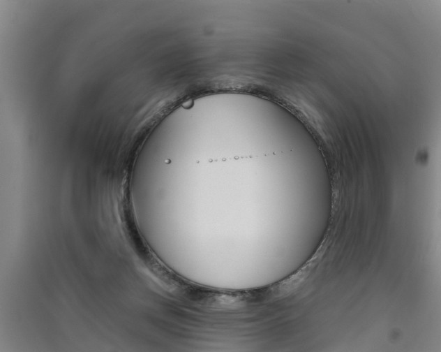 X0000091550166200708171048