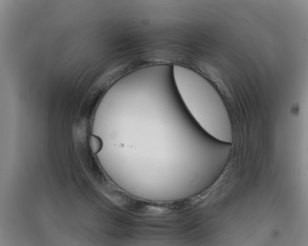 X0000091550167200708171048