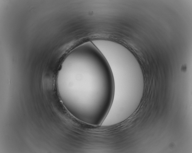 X0000091550168200708171048